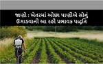 ફર્ટિગેશન : અસરકારક ઉત્પાદન માટેની એક રામબાણ ટપક સિંચાઈ પદ્ધતિ