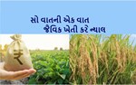 ખરચો ઓછો-નફો મોટો : ખેડૂતોએ પાડેલા પરસેવાનું પાઈ-પાઈનું વળતર આપતા રોકડિયા પાકો