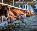 પશુધનની ગણતરી કરાવશે સરકાર, હરિયાણાથી કરવામાં આવી શરૂઆત