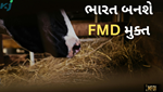 બનાવવામાં આવશે FMD મુક્ત ભારત,આ નવ રાજ્યોથી શરૂ કરવામાં આવ્યો પ્રોગ્રામ