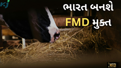 બનાવવામાં આવશે FMD મુક્ત ભારત,આ નવ રાજ્યોથી શરૂ કરવામાં આવ્યો પ્રોગ્રામ