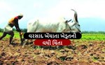 આ જિલ્લામાં ખેડૂતોએ 74,000 હેક્ટર જમીનમાં વાવેતર કર્યું