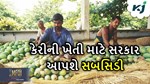 Mango Subsidy: કેરીની ખેતીને પ્રોત્સાહન આપવા માટે ભારત સરકાર આપશે ખેડૂતોને સબસિડી