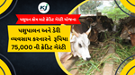 Credit Guarantee Scheme for Livestock Sector : પશુધન ક્ષેત્ર માટે ક્રેડિટ ગેરંટી યોજના