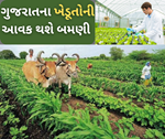 હવે ગુજરાતના ખેડૂતોની આવક થશે બમણી, N.K લિમિટેડએ ઉભા કરશે પૈસાના ઢગલા