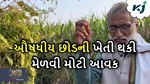 Success Story: મળો 62 વર્ષિય શંભુથી, જેમના ઘરે લોટનો પણ નહોતા પૈસા પરંતુ આજે ખેતી થકી...