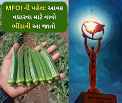 MFOI 2024: જોઈએ છે ભીંડાનું અઢળક ઉત્પાદન તો અહિંયાથી મેળવો હાઈબ્રેડ જાતનું બિયારણ 