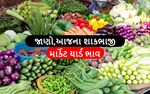 જાણો, ગુજરાતના વિવિધ APMCના શાકભાજીના  ભાવ 