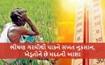 કાળઝાળ ગરમીના કારણે પાક ખરાબ, રાહતની રાહ જોઈ રહ્યા છે ખેડૂત