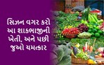 ઓફ સિઝનમાં કરો શાકભાજીની ખેતી
