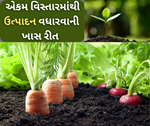 સેન્દ્રિય ખેતીમાં સૂક્ષ્મતત્વોનું  મહત્વ અને વ્યવસ્થાપન
