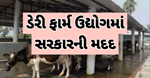 Dairy Farm Business: સરકારી મદદથી શરૂ કરો ડેરી ફાર્મ, દર મહિને થવા લાગશે હજારોની કમાણી
