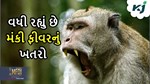 મંકી ફીવરનું વધી રહ્યો છે ખતરો, સાવચેત રહેવું જરૂરી નહિંતર...