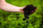 જમીનની ફળદ્રુપતા વધારવા અપનાવો આ પદ્ધતિ