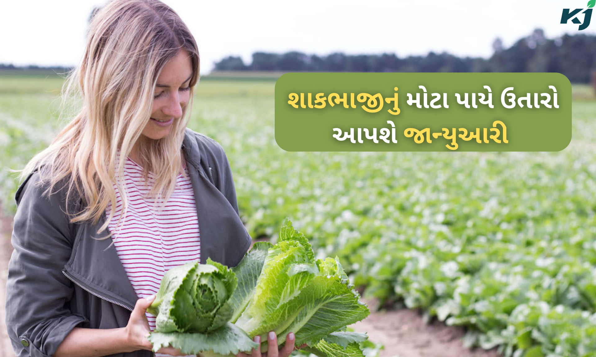 શાકભાજીનું ઉત્પાદન મેળવવાની રીત (ફોટો-સોશિયલ મીડિયા)