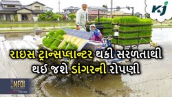 Rice Transplanter: સરળતાથી થઈ જશે ડાંગરની રોપણી, સબસિડી સાથે કિંમત ફક્ત આટલી 