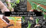 જમીન સ્વાસ્થ્ય અને પર્યાવરણ સંરક્ષણ માટે અપનાવો જૈવિક ખેતી