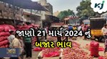 Market Price: જાણો ગુજરાતની જુદા-જુદા એપીએમસીમાં શું ચાલી રહ્યું છે કપાસનો બજાર ભાવ