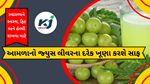 Amla Juice Benefits : આમળા સ્વાસ્થ્ય માટે ખૂબ જ ફાયદાકારક છે.