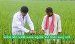 ખેડૂતોએ ખેતીમાં ખોટા ખર્ચથી બચવા આટલુ કરવાની જરૂર છે