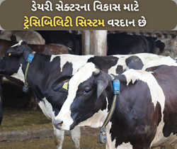 ટ્રેસિબિલિટી સિસ્ટમ બદલી નાખશે ડેરી સેક્ટરની તસ્વીર, ગ્રાહકો અને કંપની બન્નેને થશે ફાયદા 
