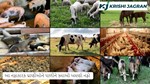 આ નફાકારક પશુઓને પાળીને બમણો નફો કમાઓ
