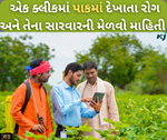 કૃષિ ક્ષેત્રમાં AI નું ફરી એક પરાક્રમ, ફક્ત એક ક્લીકમાં રોગ અને તેના સારવારની મેળવો માહિતી