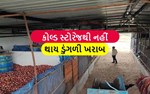 ખેડૂત બનાવ્યો કોલ્ડ સ્ટોરેજ, હવે ચોમાસાના નથી થતી ડુંગળી ખરાબ