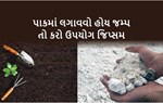 KJ KNOWLEDGE : જાણો જિપ્સમની તાકાત અને લણો વિપુલ પાક