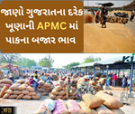 Market Price: જાણો ગુજરાતના જુદા જુદા માર્કેટ યાર્ડમાં દરેક પાકનું બજાર ભાવ વિશે