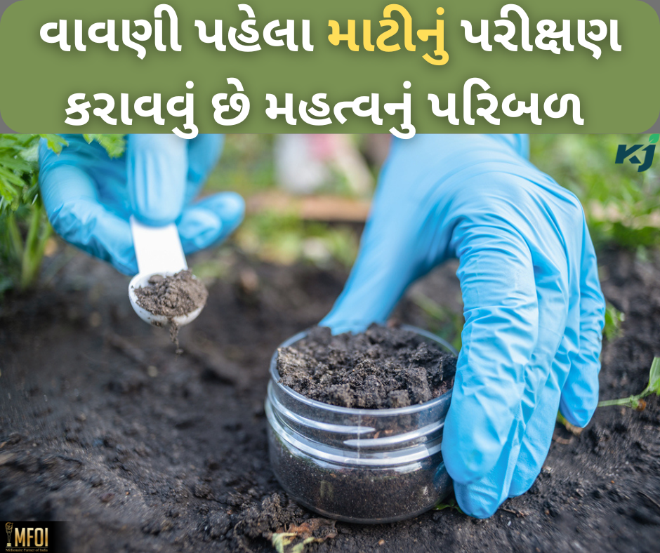 ફોટો- સોશિયલ મીડિયા