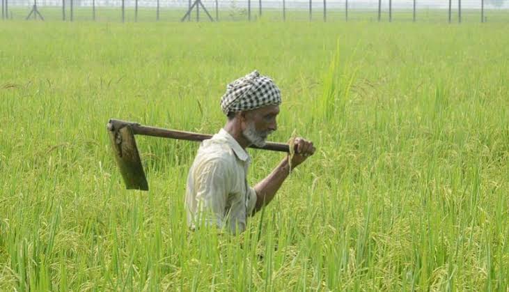 PM-KisanScheme