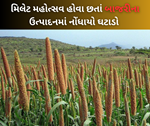 Millet Festival: સરકાર દ્વારા મિલેટ મહોત્સવ શરૂ કરવા છતાં કેમ ઘટી રહ્યું છે ઉત્પાદન, સર્વેમાં સામે આવી ચોકંવારી વાતો
