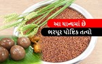 આ ધાન્યમાં છે ભરપૂર કેલ્શીયમ અને બજારમાં માંગ પણ ખુબ છે