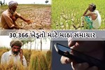 હિમાચલ પ્રદેશના 30,366 અન્નદાતાઓએ kccમાં દેવાળુ ફુંક્યુ, ખાતા NPA જાહેર કરી દેવાયા