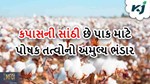 Cotton: કપાસની સાંઠી છે પોષક તત્વોનો અમૂલ્ય ભંડાર