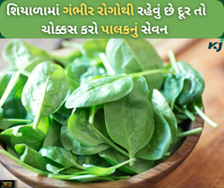 શિયાળામાં પાલકનું સેવન છે જરૂરી, જો નથી કરશો તો થઈ જશો ગંભીર રોગોનું શિકાર