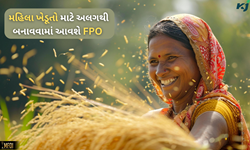 સરકારનો મોટો નિર્ણય, મહિલા ખેડૂતો માટે અલગથી બનાવવામાં આવશે એફપીઓ 