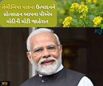 તેલીબિયાં પાકો માટે કેન્દ્ર સરકારે શરૂ કર્યો મિશન, ખેડૂતોની આવક વધારવા 10, 103 કરોડની ફાળવણી