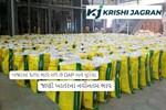 બજારમાં કેટલા ભાવે મળે છે DAP અને યુરિયા, જાણો ખાતરના નવીનતમ ભાવ