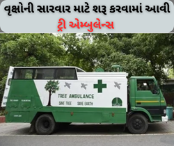 Tree Ambulance: બીમાર વૃક્ષો માટે પણ તૈયાર કરવામાં આવી એમ્બુલેન્સ, પર્યાવરણને રાખશે વ્યવસ્થિત 