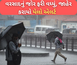 Weather Update: ચોમાસાનું જોર ફરીથી વધ્યું, હવામાન વિભાગે જાહેર કર્યો યેલો એલર્ટ 