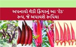 નવો અભિગમ : ખેડૂતો માટે લાલ ભીંડા, બની શકે સોનાના ઇંડા