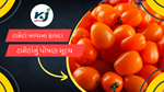 Benefits Of Tomato: ટામેટાનો તમારા આહારમાં ઉપયોગ કરવાથી મળે છે આ ફાયદા