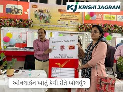 મહિલા સન્માન બચત પ્રમાણપત્ર શું છે? પાત્રતા, ઓનલાઈન ખાતું કેવી રીતે ખોલવું સહિતની તમામ મહત્વપૂર્ણ માહિતી