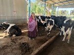 પશુપાલકો આ યોજના હેઠળ સરકાર આપી રહી છે લોન