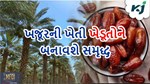 ખજૂરની ખેતી ખેડૂતોને સમૃદ્ધ બનાવશે, તેમને બમ્પર આવક થશે