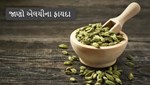 ઇલાયચીના મોટા ફાયદા! હાઈ બીપી થી લઇને પાચન સમસ્યાના દરેકનો રામબાણ ઈલાજ કરશે.