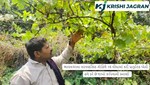 ભાવનગરના નરવણસિંહ ગોહિલે 15 વીઘામાં કરી પ્રાકૃતિક ખેતી, હવે કરે છે લાખો રૂપિયાની કમાણી 
