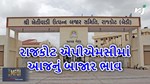 જાણો રાજકોટ એપીએમસીનું આજનું બાજાર ભાવ
